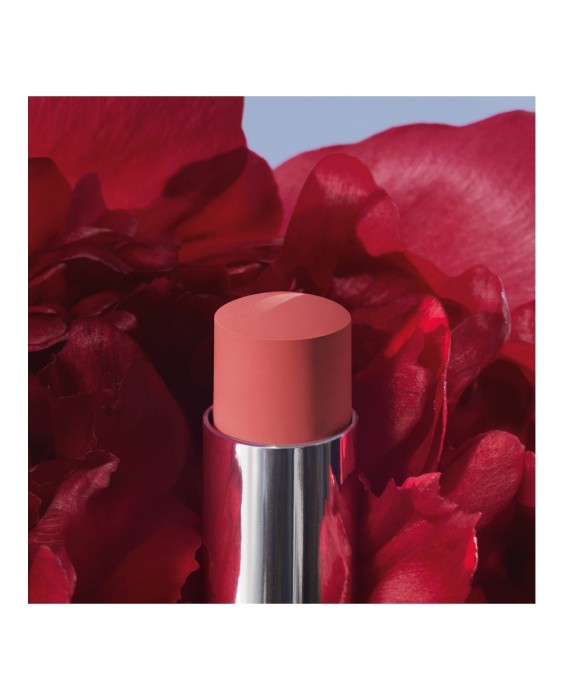 Barra de labios que no transfiere - Mate ultrapigmentado - Comodidad sensación segunda piel