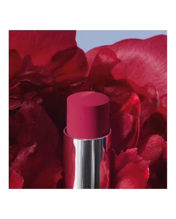 Barra de labios que no transfiere - Mate ultrapigmentado - Comodidad sensación segunda piel