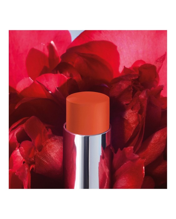 Barra de labios que no transfiere - Mate ultrapigmentado - Comodidad sensación segunda piel