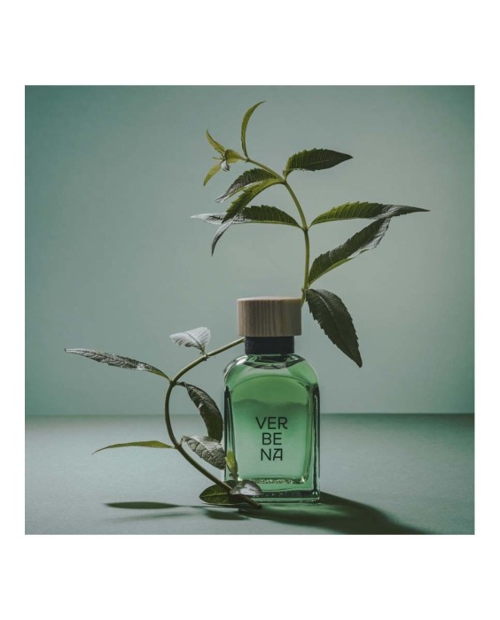 Eau de Toilette Verbena Hombre 120 ml Adolfo Dominguez