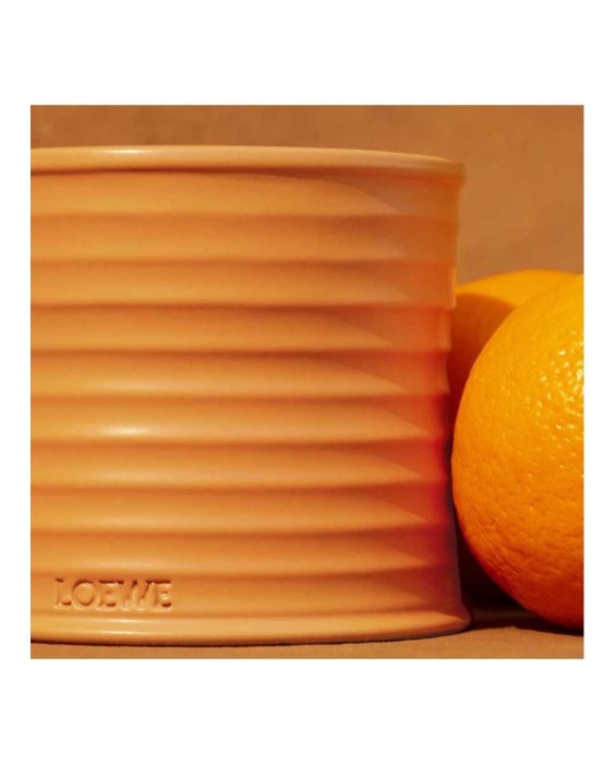 Vela Candle M Orange Blossom  Loewe