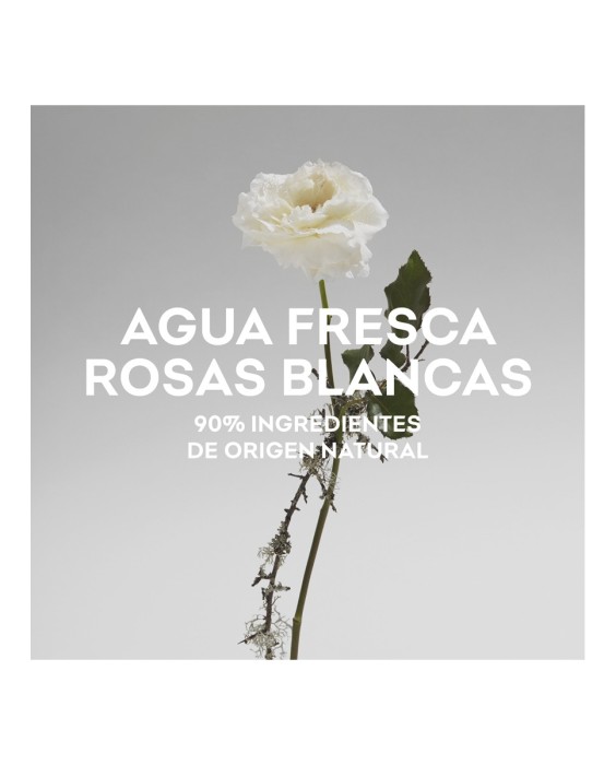 Eau de Toilette Agua Fresca de Rosas Blancas 120 ml Adolfo Domínguez