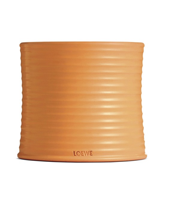 Vela Candle L Orange Blossom  Loewe