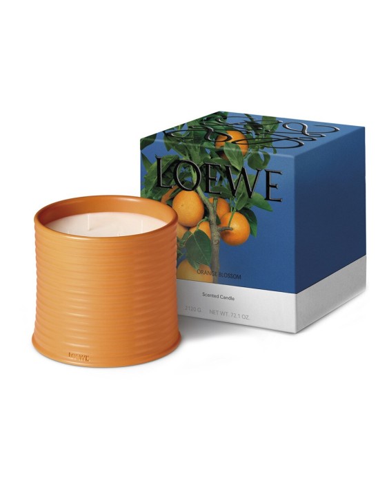 Vela Candle L Orange Blossom  Loewe