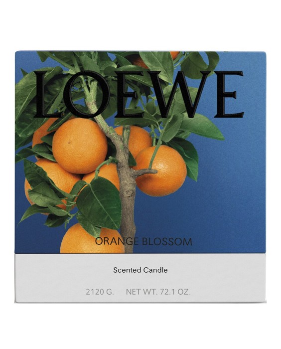 Vela Candle L Orange Blossom  Loewe