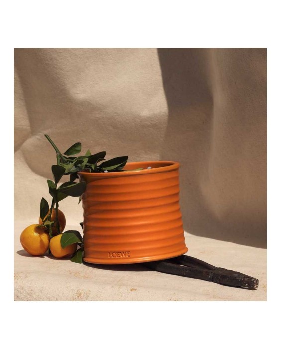 Vela Candle L Orange Blossom  Loewe