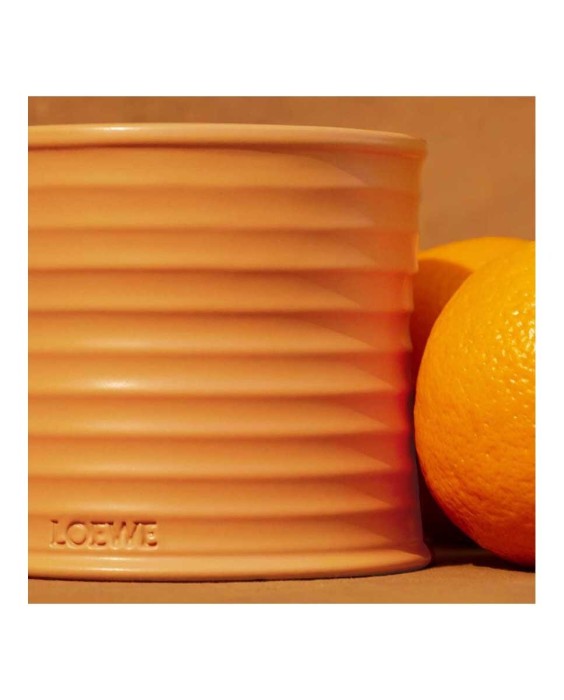 Vela Candle L Orange Blossom  Loewe
