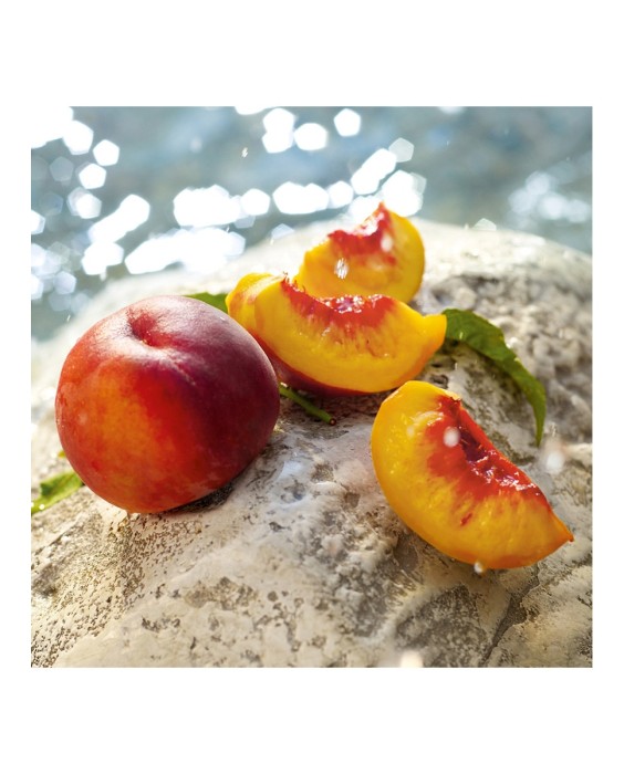 Eau de Toilette Light Blue Summer Vibes 100 ml Dolce & Gabbana