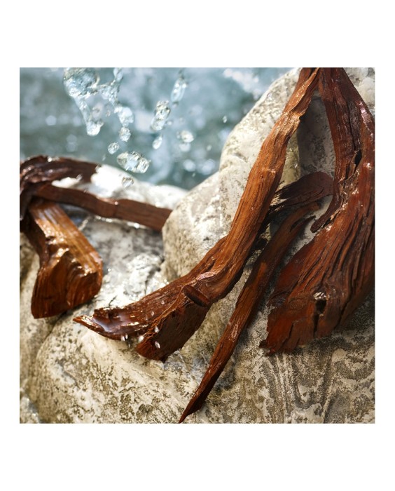 Eau de Toilette Light Blue Summer Vibes 100 ml Dolce & Gabbana