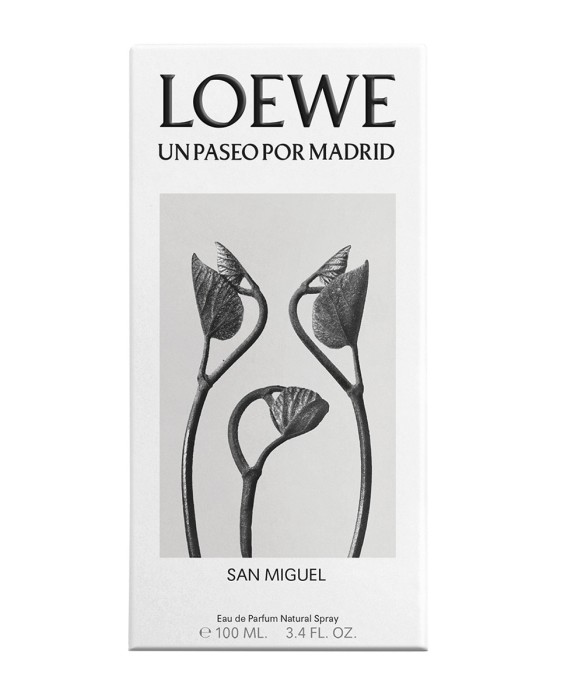 Loewe Un Paseo por Madrid San Miguel 100мл парфюмерная вода
