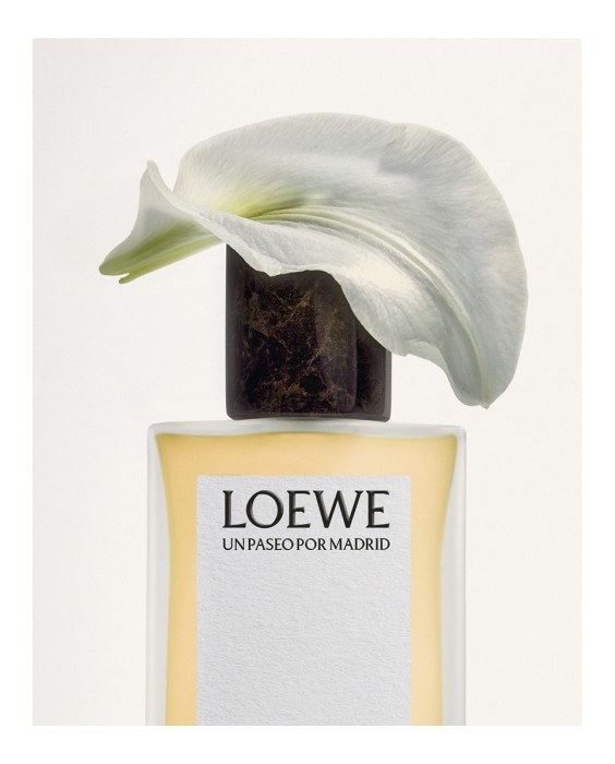 Loewe Un Paseo por Madrid San Miguel 100мл парфюмерная вода