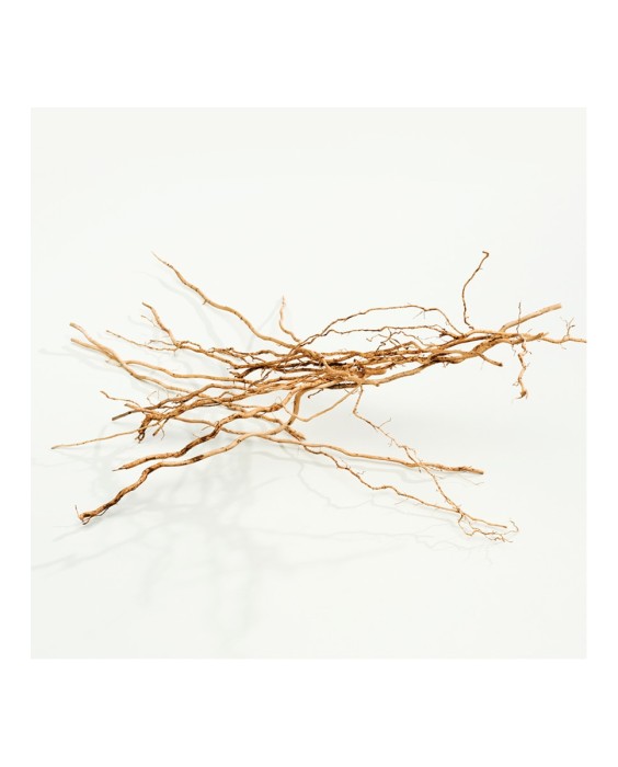 Eau de Parfum Ck Everyone 200 ml Calvin Klein