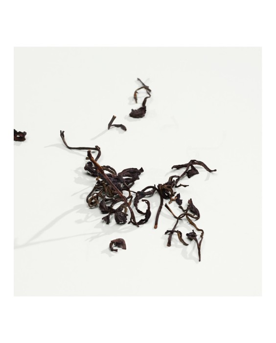 Eau de Parfum Ck Everyone 200 ml Calvin Klein