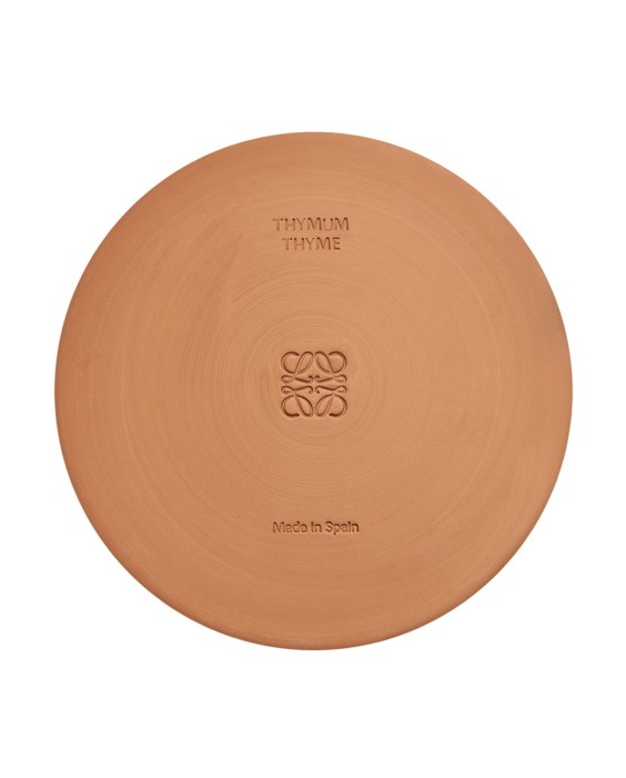 Vela Aromática de Exterior Thyme Loewe