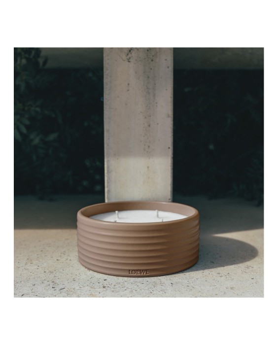 Vela Aromática de Exterior Thyme Loewe