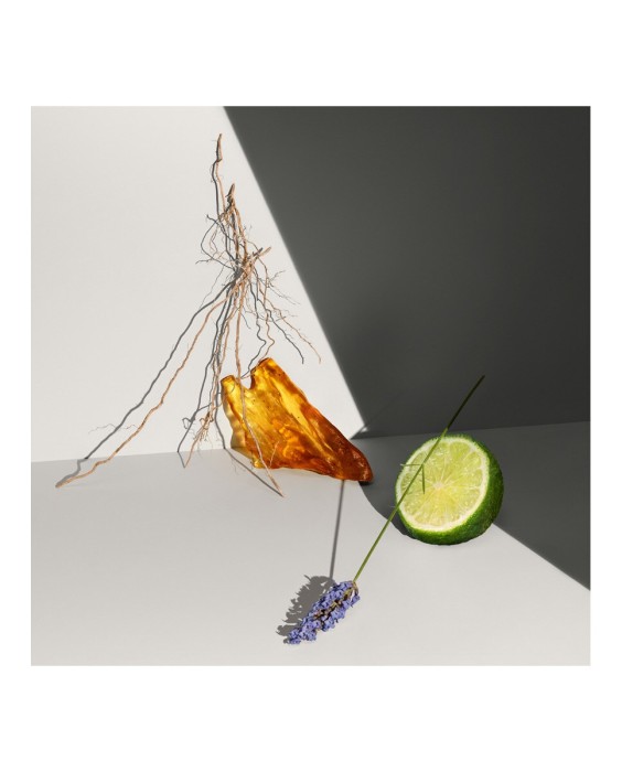 Eau de Toilette Defy 50 ml Calvin Klein