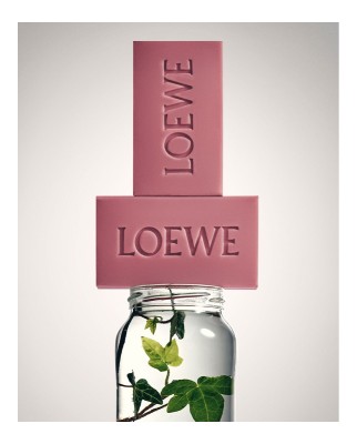 Set de 2 jabones sólidos Ivy Scented Loewe