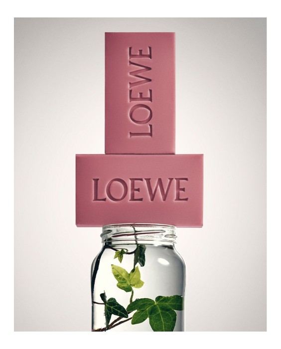 Set de 2 jabones sólidos Ivy Scented Loewe