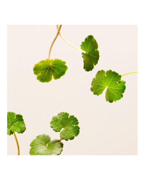 Recarga de crema de día reafirmante The Ritual of Namaste Ageless Firming Day 50 ml Rituals