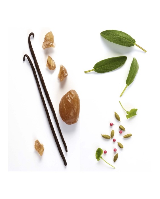 Eau de Toilette Stronger With You Emporio Armani 30 ml Giorgio Armani