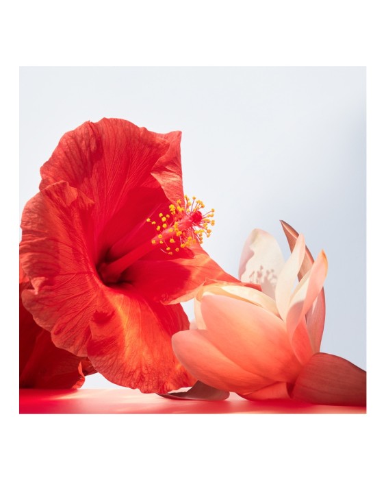 Eau de Toilette Omnia Coral 100 ml Bvlgari