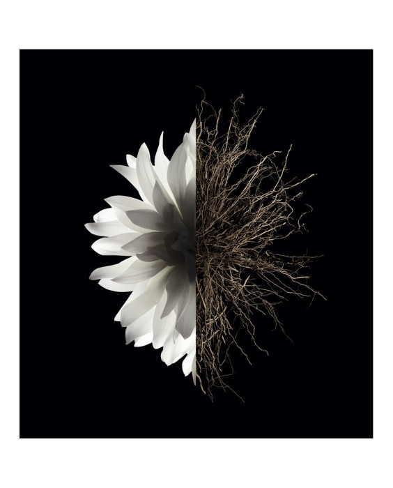 Eau de Parfum L'Interdit 35 ml Givenchy