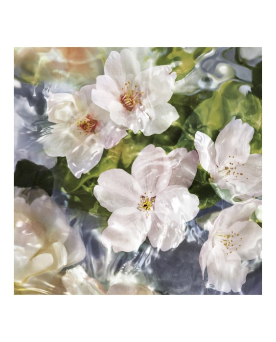 Eau de Toilette Aqua Allegoria Flora Cherrysia 75 ml Guerlain