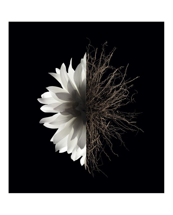 Eau de Parfum L'Interdit 50 ml Givenchy