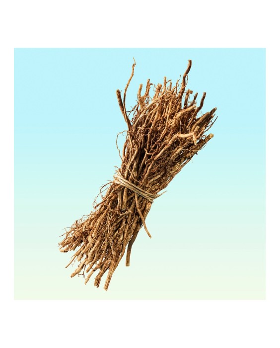 Eau de Toilette Calvin Klein Ck One Gold 200 ml Calvin Klein