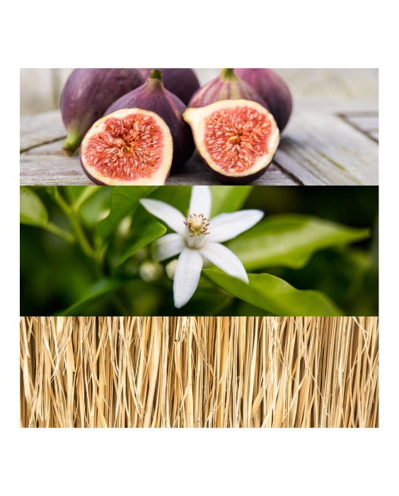 Eau de Toilette Calvin Klein Ck One Gold 200 ml Calvin Klein