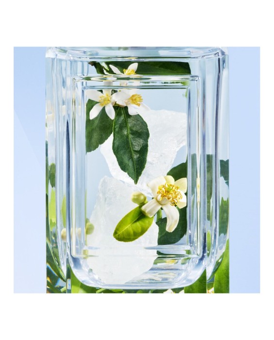 Prada Un Chant d'Amour 100мл парфюмерная вода