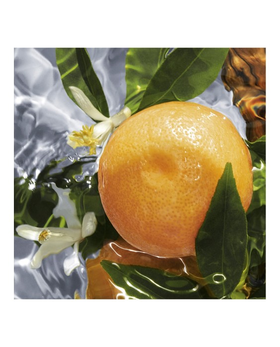 Eau de Toilette Aqua Allegoria Pamplelune 125 ml Guerlain