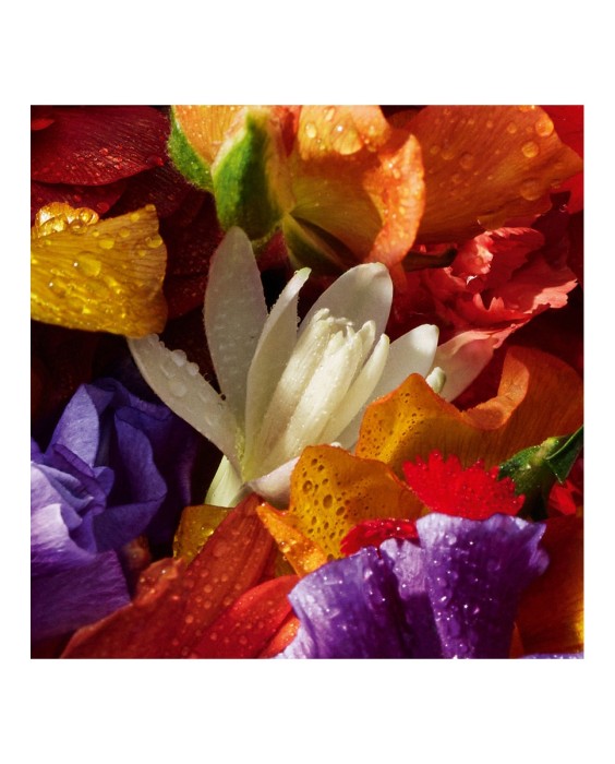 Eau de Parfum Aqua Allegoria Florabloom 75 ml Guerlain