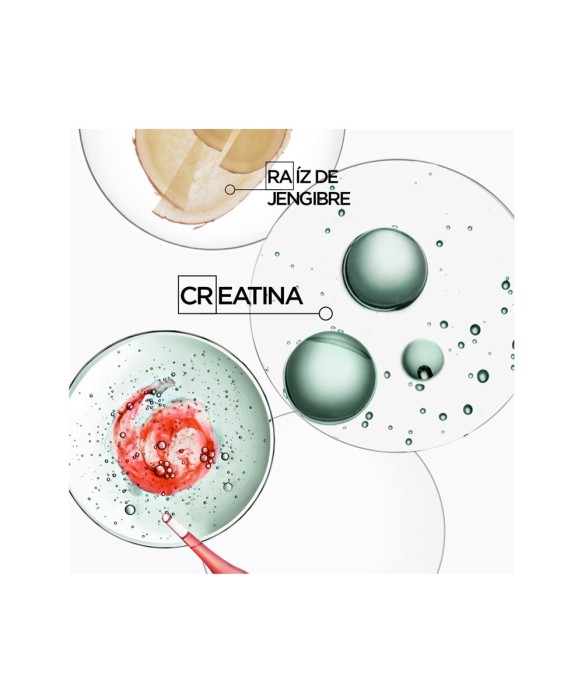 Bain De Masse Epaissant Genesis Homme 250  ml Kérastase Шампунь для увеличения объема волос