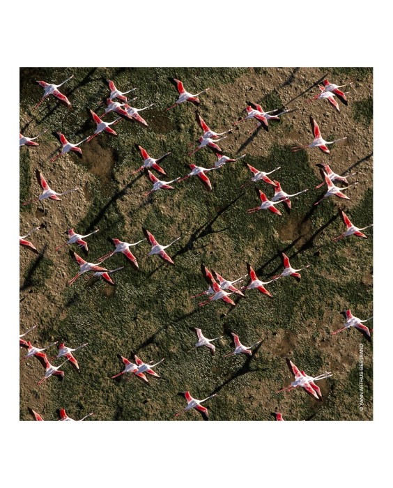 Eau de Toilette Aqua Allegoria Rosa Rossa 125 ml Guerlain