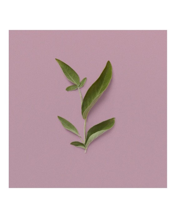 Eau de Toilette Gucci Moondlight Serenade Luxury Collection 150 ml  Gucci