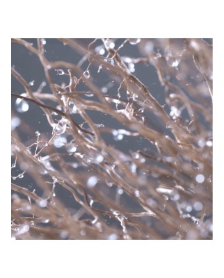 Eau de Toilette Agua Vetiver Paradise Herrera Confidential Carolina Herrera