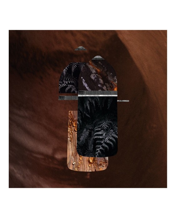 Cartier Pasha de Cartier Noir Absolu парфюмерная вода