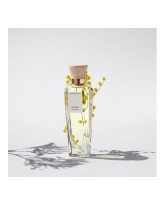 Eau de Toilette Agua Fresca Mimosa Coriandro 120 ml Adolfo Dominguez
