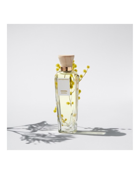 Eau de Toilette Agua Fresca Mimosa Coriandro 120 ml Adolfo Dominguez