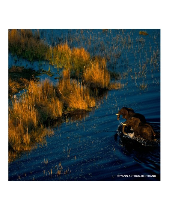 Eau de Parfum Aqua Allegoria Mandarine Basilic Forte Recargable 200 ml Guerlain