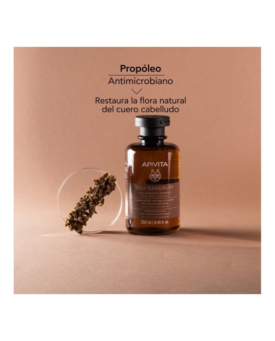 Champú Anticaspa Grasa Sauce Blanco & Propóleo