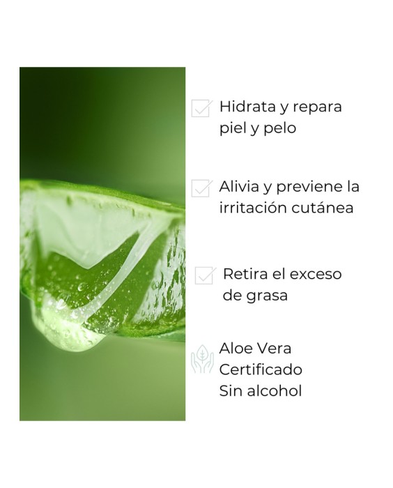 Gel Aloe Gel 200 ml Farma Dorsch