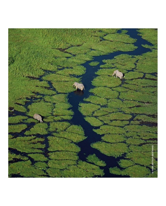 Recarga Eau de Toilette Aqua Allegoria Bergamote Calabria 200 ml Guerlain