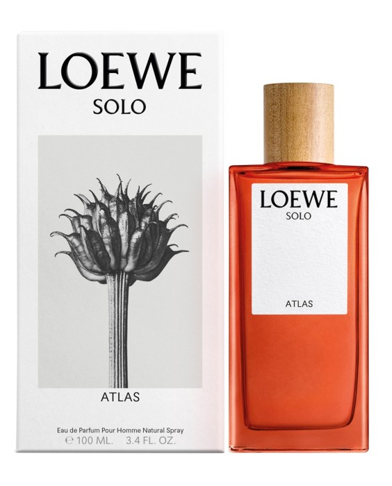 Loewe Solo Atlas 100мл парфюмерная вода