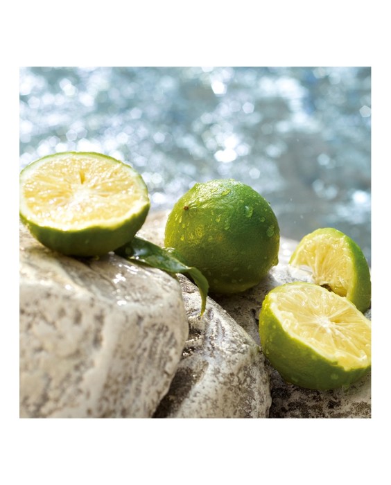 Eau de Toilette Light Blue Summer Vibes 50 ml Dolce & Gabbana