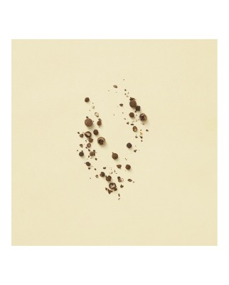 Eau de Parfum Gucci The Alchemist's Garden Winter's Spring 100 ml  Gucci