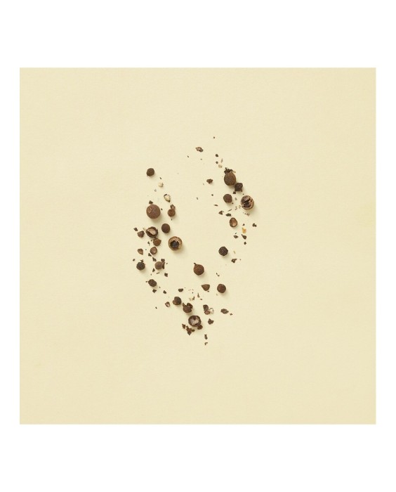 Eau de Parfum Gucci The Alchemist's Garden Winter's Spring 100 ml  Gucci