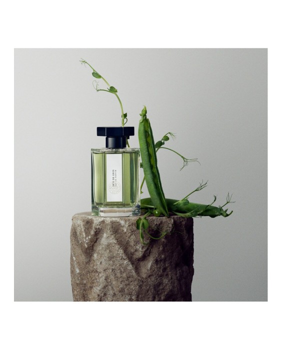 L'Artisan Parfumeur Iris de Gris 100мл парфюмерная вода