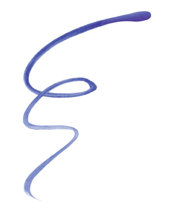 Eyeliner Liner Pinceau Bourjois